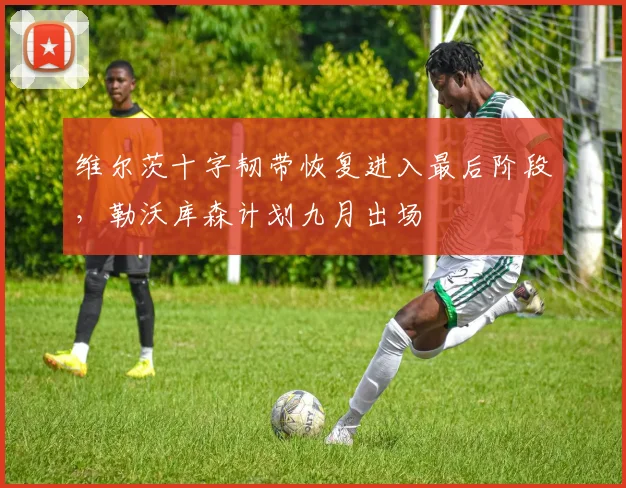 维尔茨十字韧带恢复进入最后阶段,勒沃库森计划九月出场